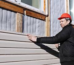 Best Insulated Siding Installation  in Mount Carroll, IL